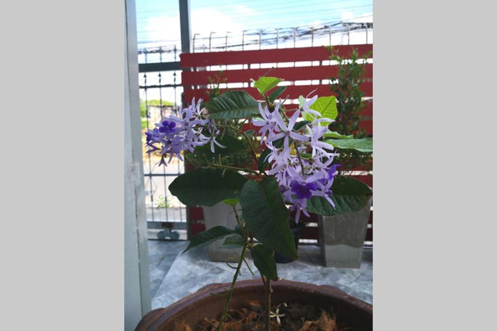 Bluebell House Hatyai - Cosy 3 Bedrooms For 10 Pax - 9 Mins Drive To Lee Grd Ban Kho Hong 외부 사진